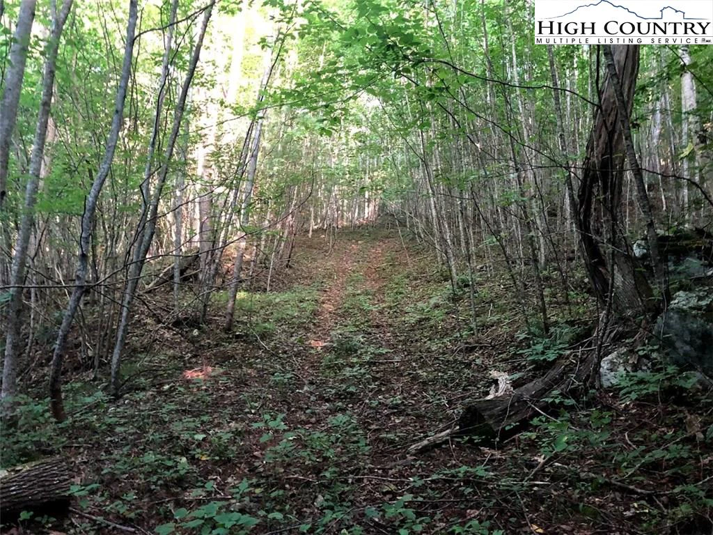 Image number 15 for the current listing