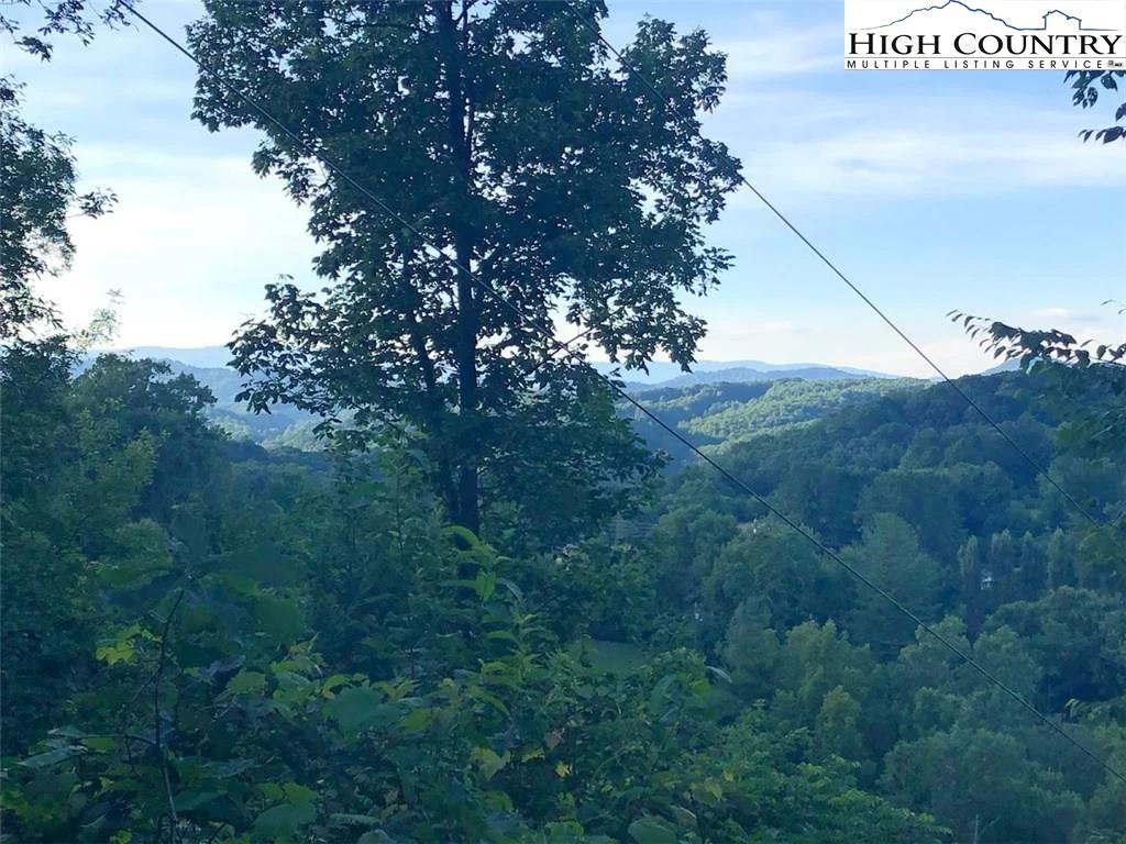 Image number 3 for the current listing