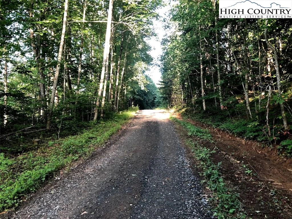 Image number 5 for the current listing