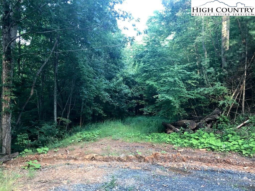 Image number 9 for the current listing