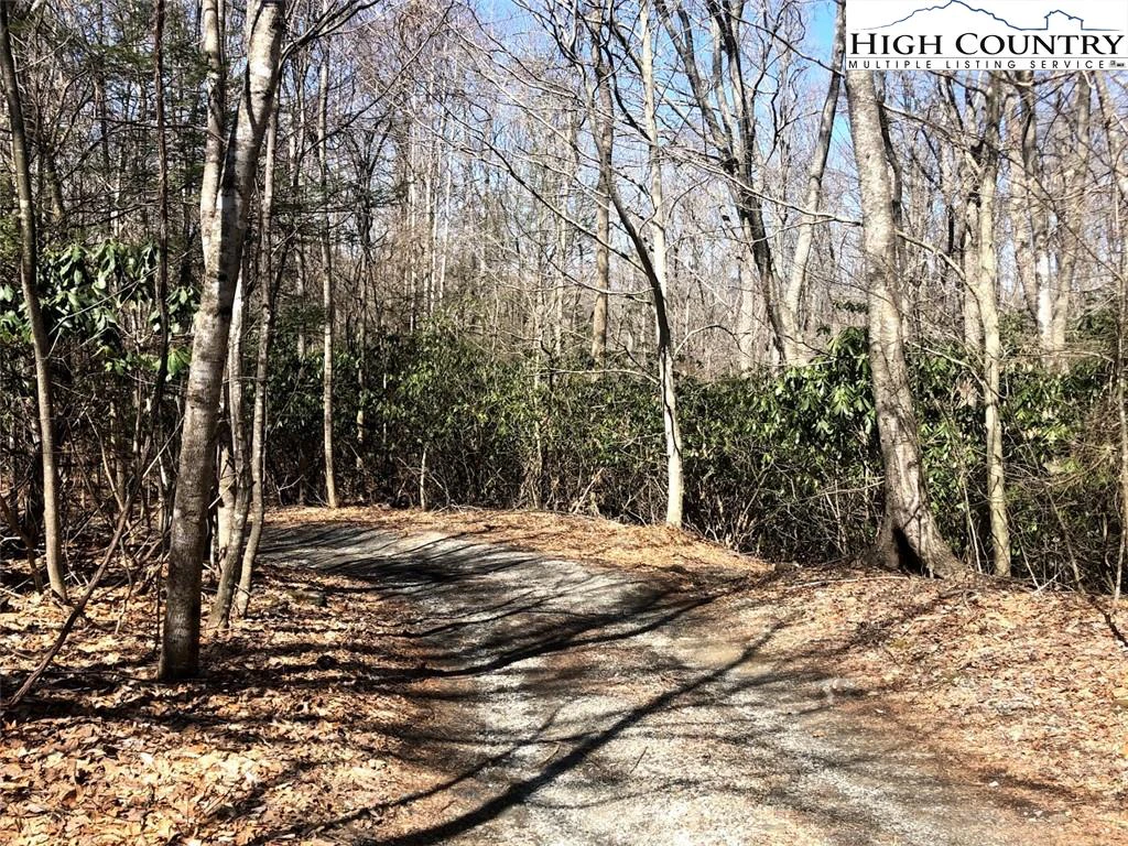 Image number 2 for the current listing