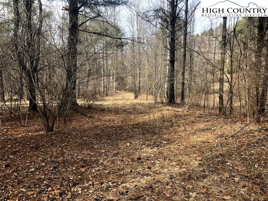Image number 9 for the current listing