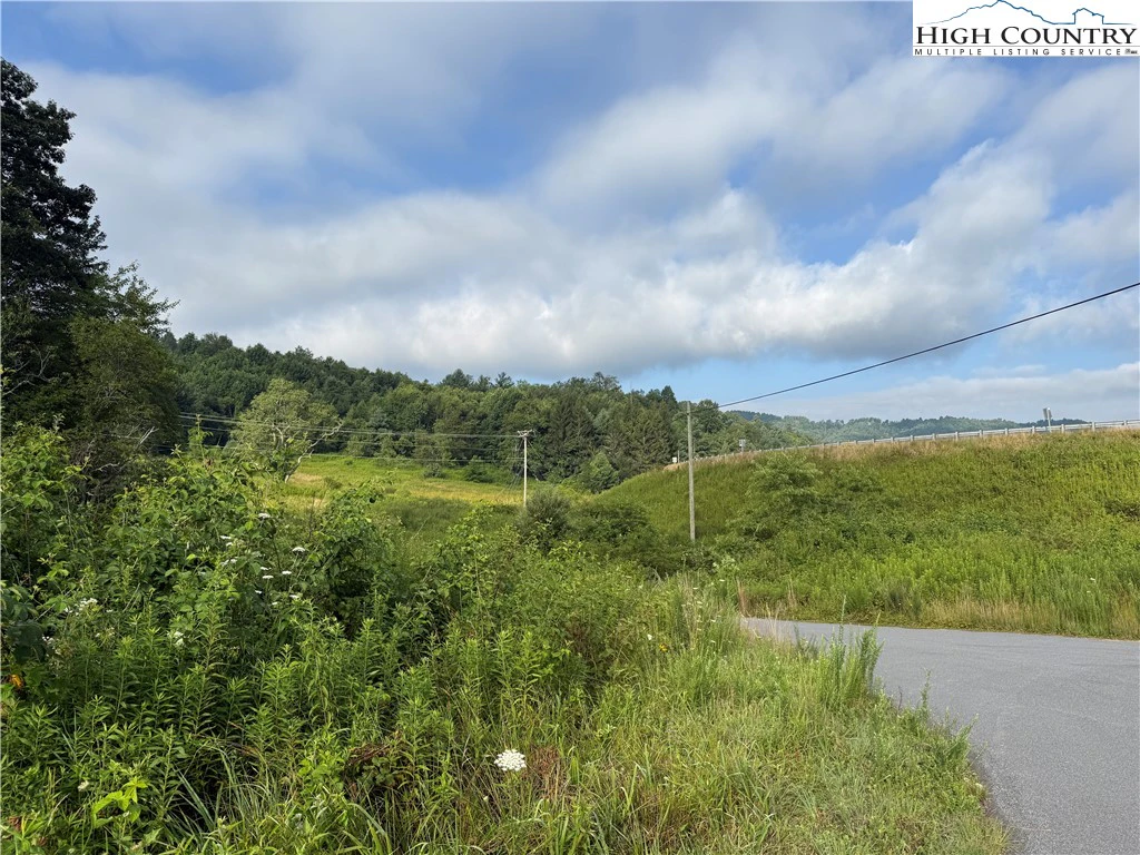 Image number 2 for the current listing