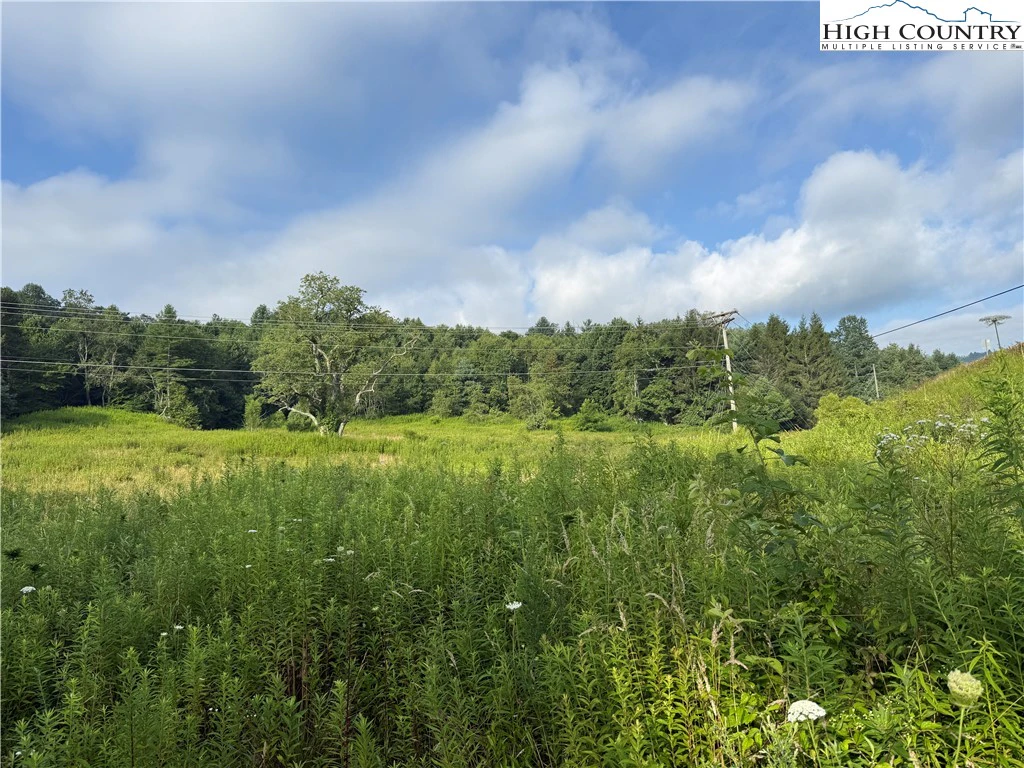 Image number 20 for the current listing
