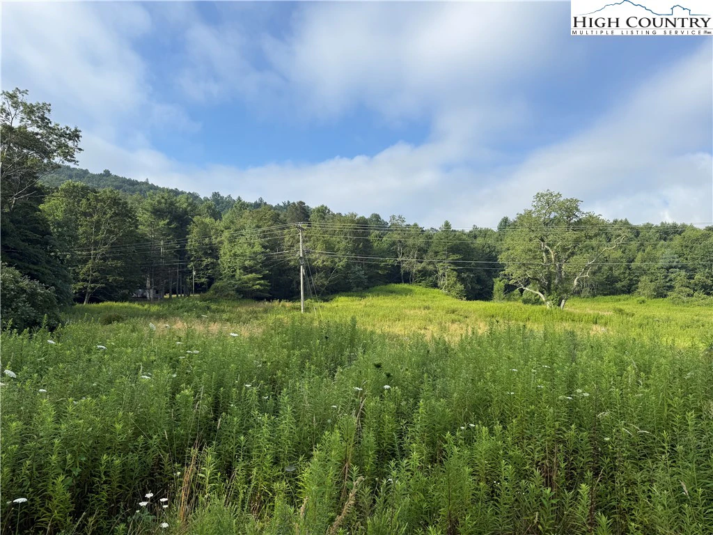 Image number 19 for the current listing