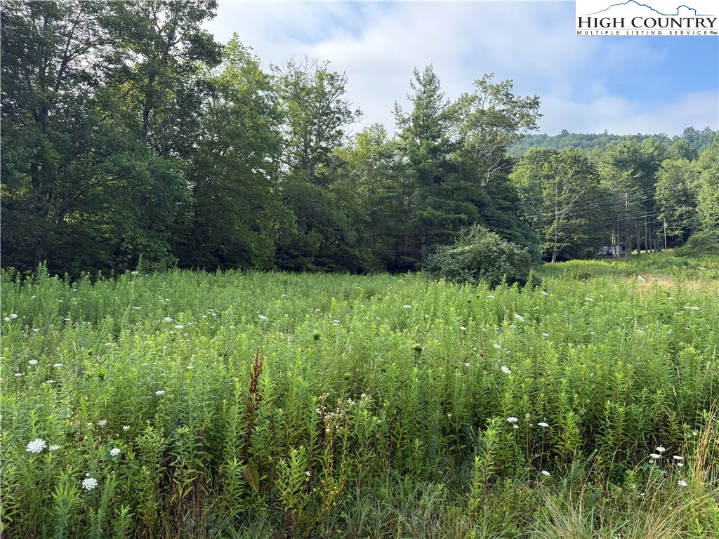 Image number 18 for the current listing