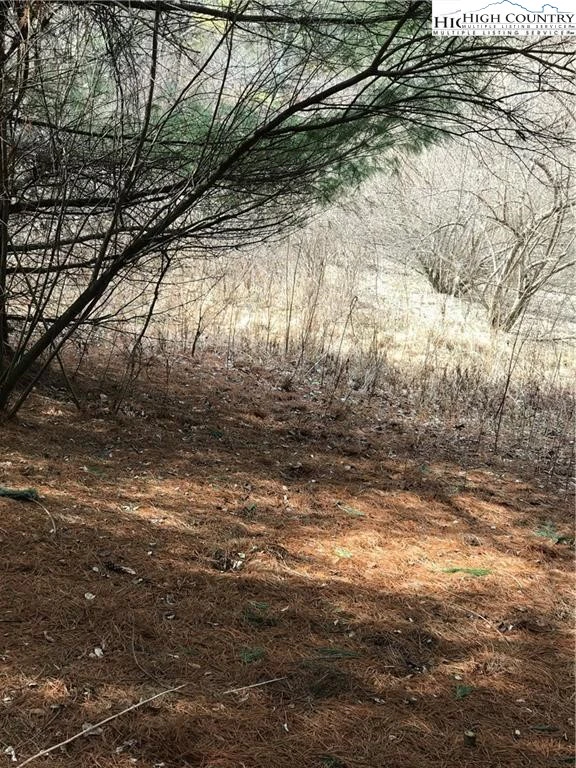 Image number 1 for the current listing