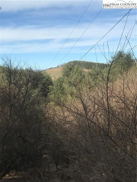 Image number 4 for the current listing