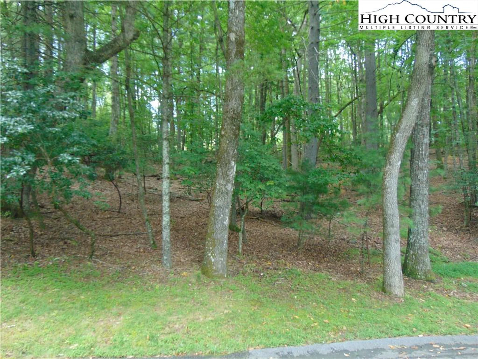 Image number 1 for the current listing