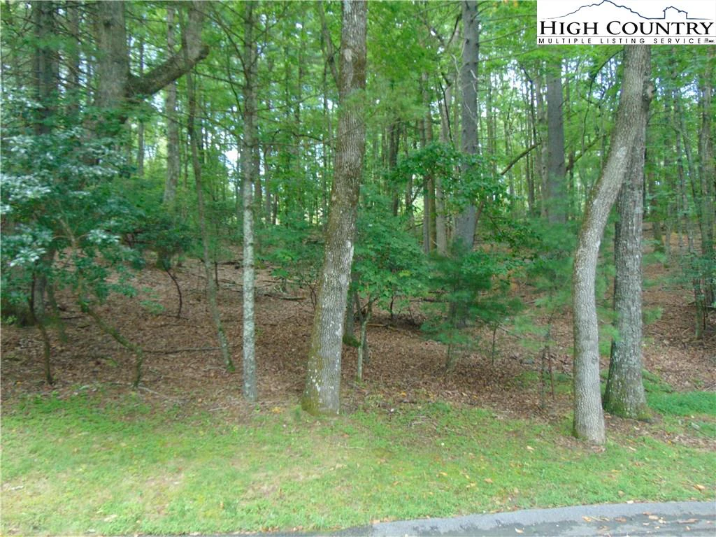 Image number 1 for the current listing