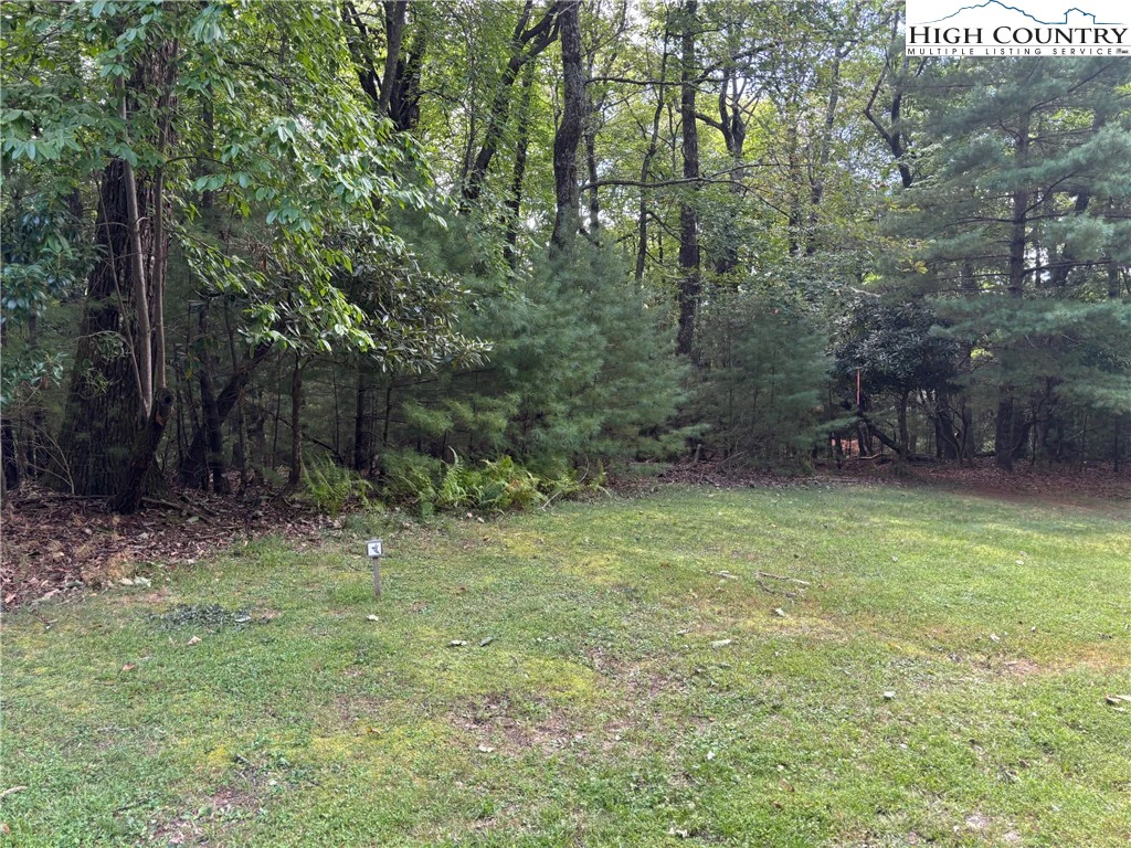 Image number 4 for the current listing