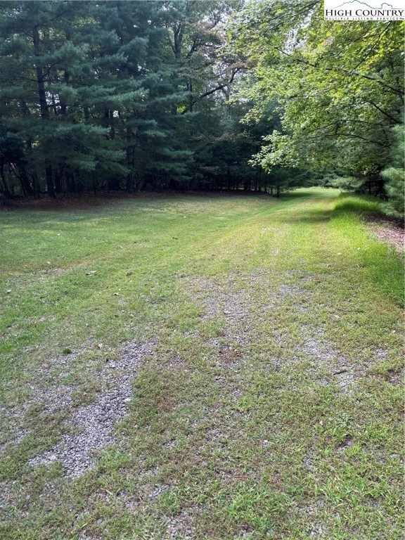 Image number 1 for the current listing