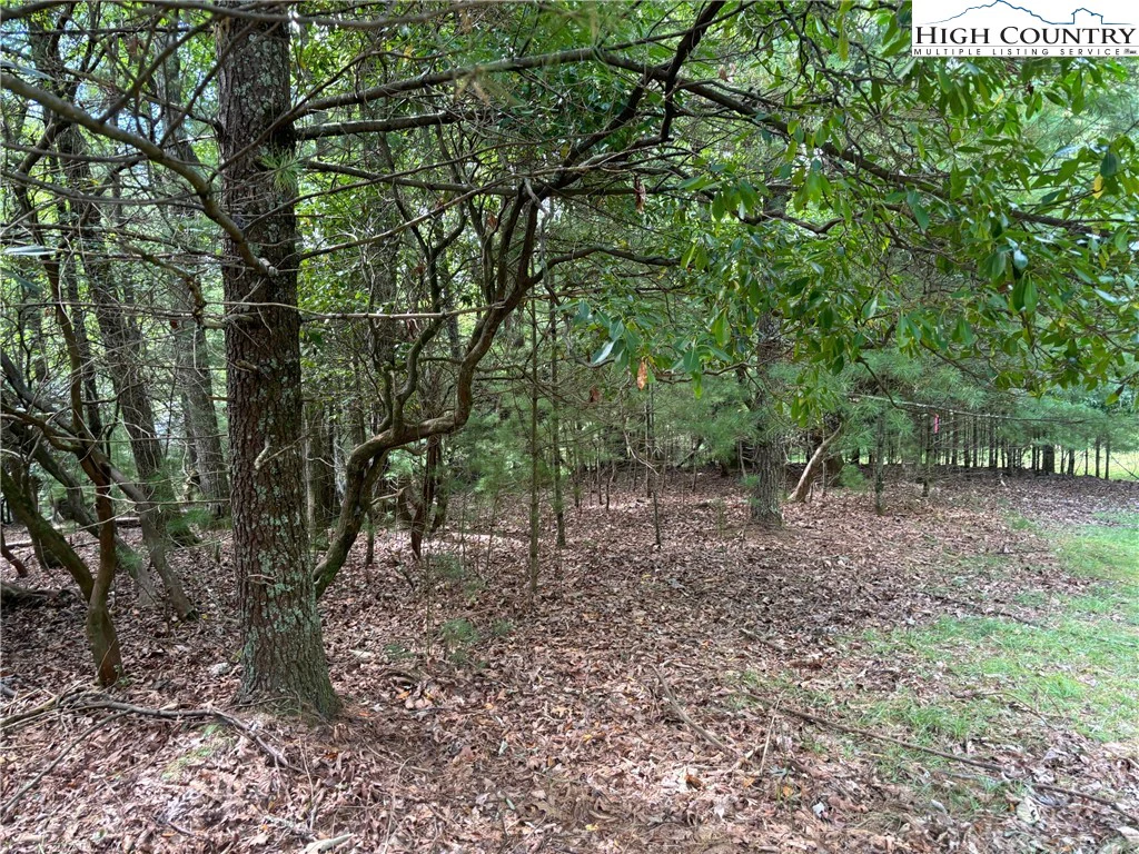 Image number 8 for the current listing