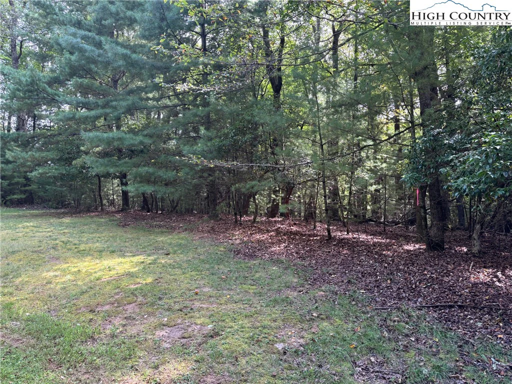 Image number 5 for the current listing