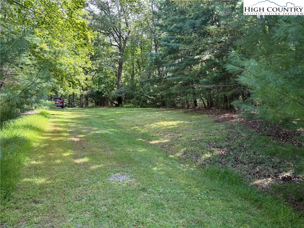 Image number 7 for the current listing
