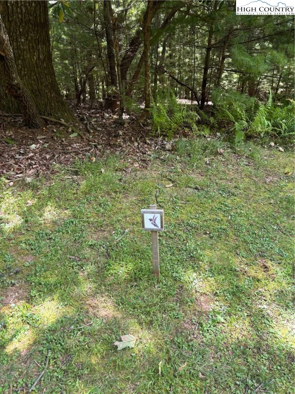 Image number 10 for the current listing
