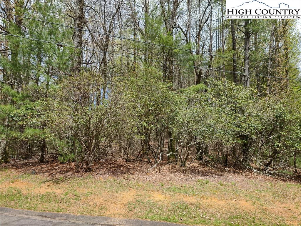 Image number 3 for the current listing