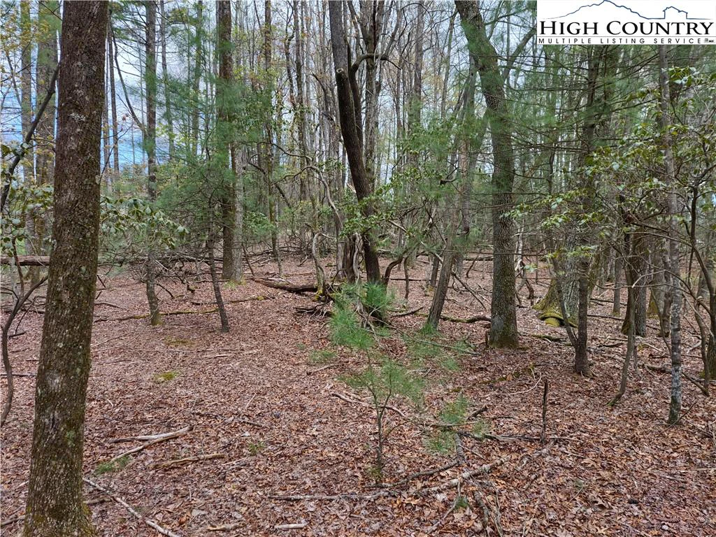 Image number 4 for the current listing
