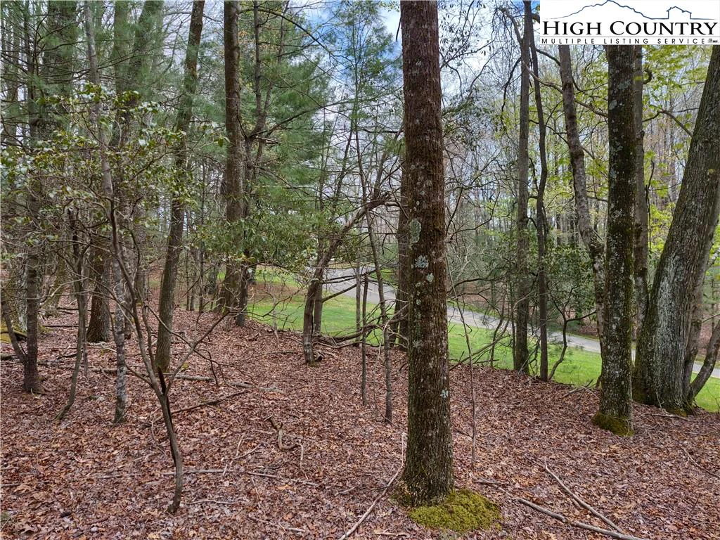 Image number 5 for the current listing