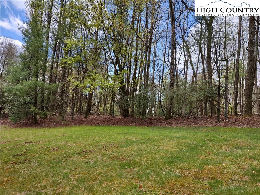 Image number 6 for the current listing