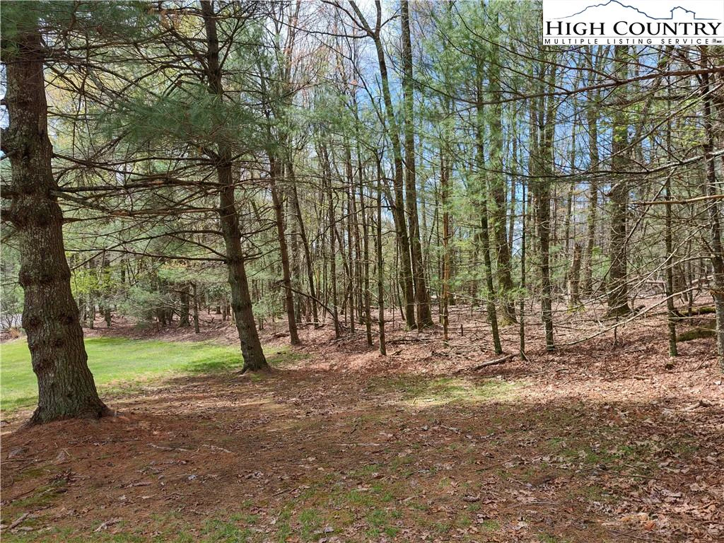 Image number 7 for the current listing