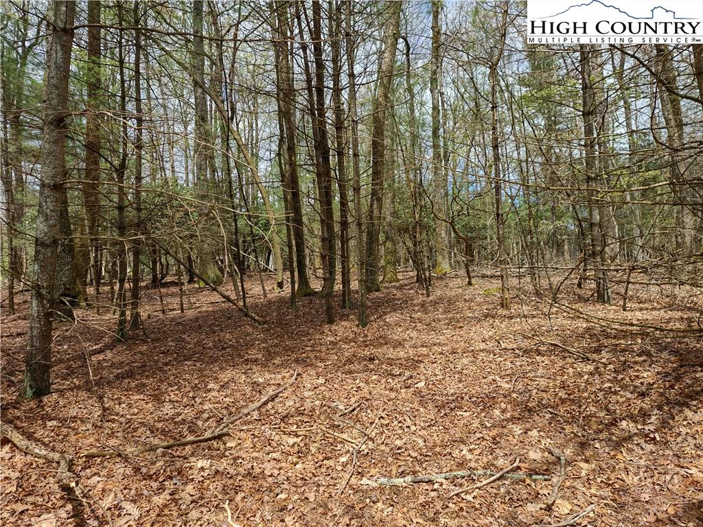 Image number 8 for the current listing