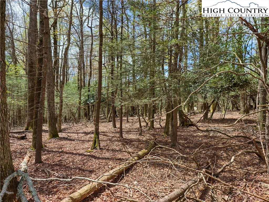 Image number 9 for the current listing