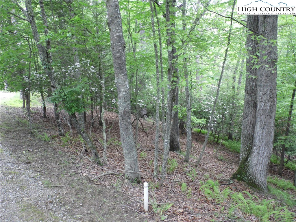 Image number 2 for the current listing
