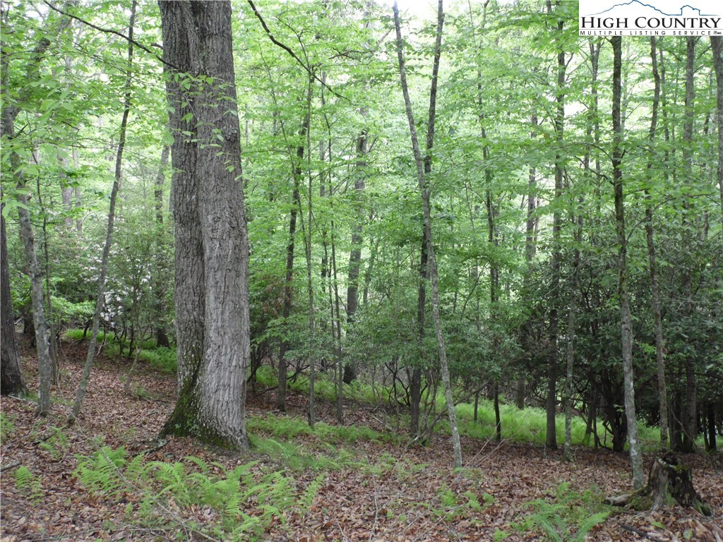 Image number 3 for the current listing