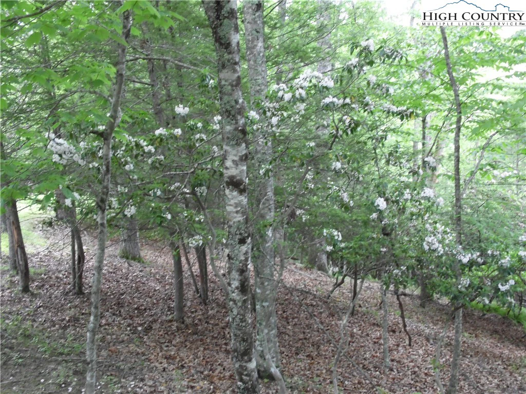 Image number 4 for the current listing
