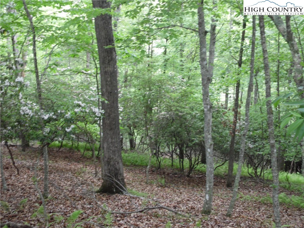Image number 5 for the current listing