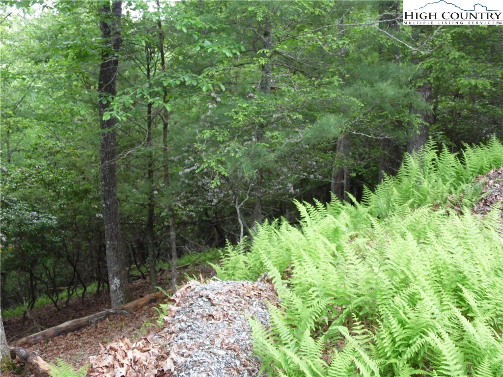 Image number 6 for the current listing