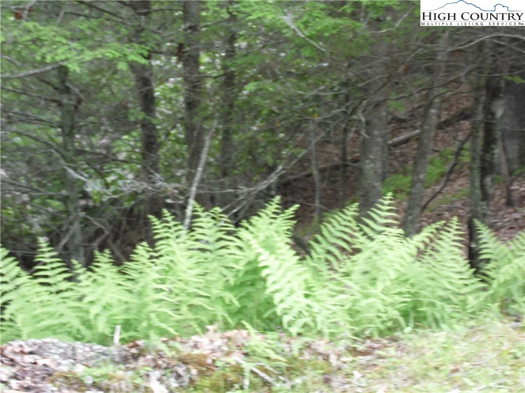 Image number 8 for the current listing
