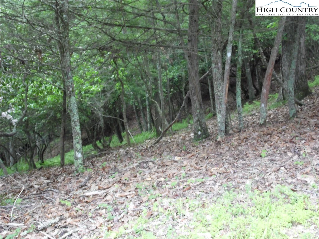 Image number 9 for the current listing
