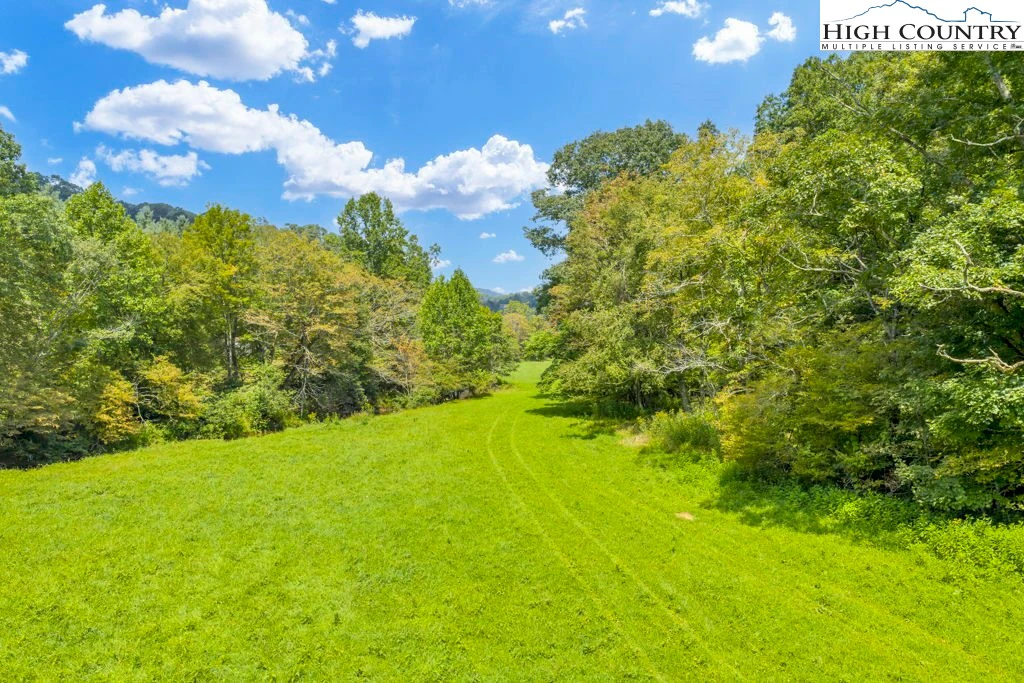 Image number 2 for the current listing