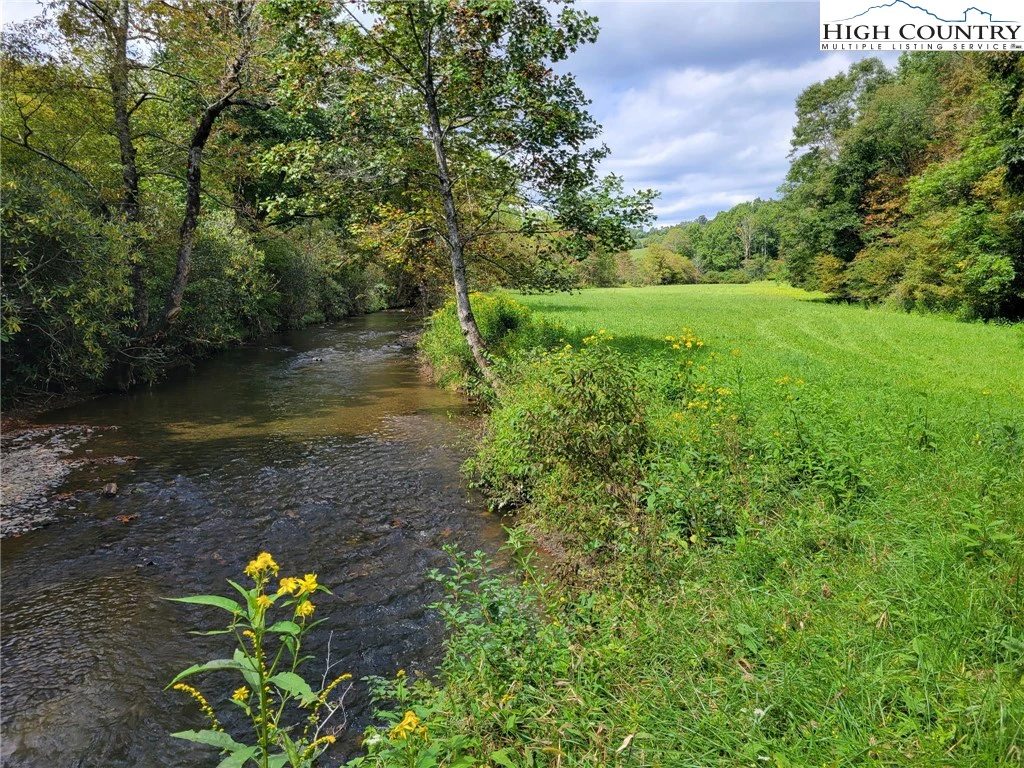 Image number 1 for the current listing