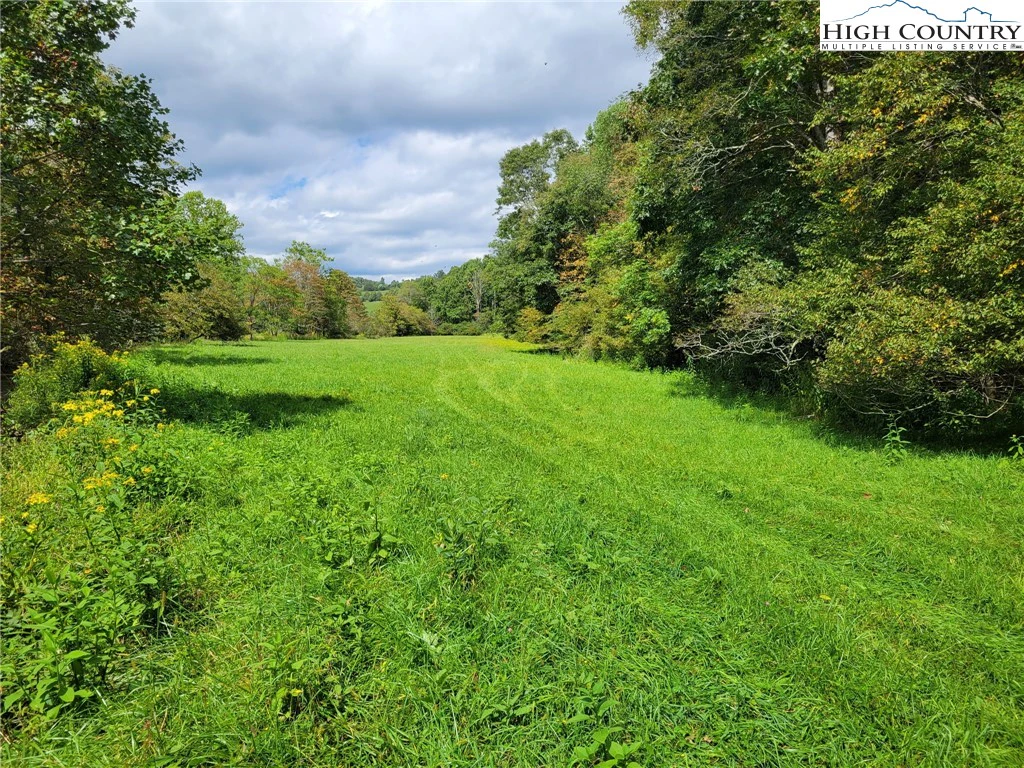 Image number 5 for the current listing