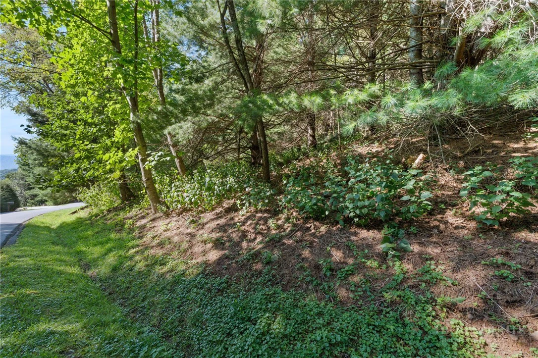 Image number 2 for the current listing