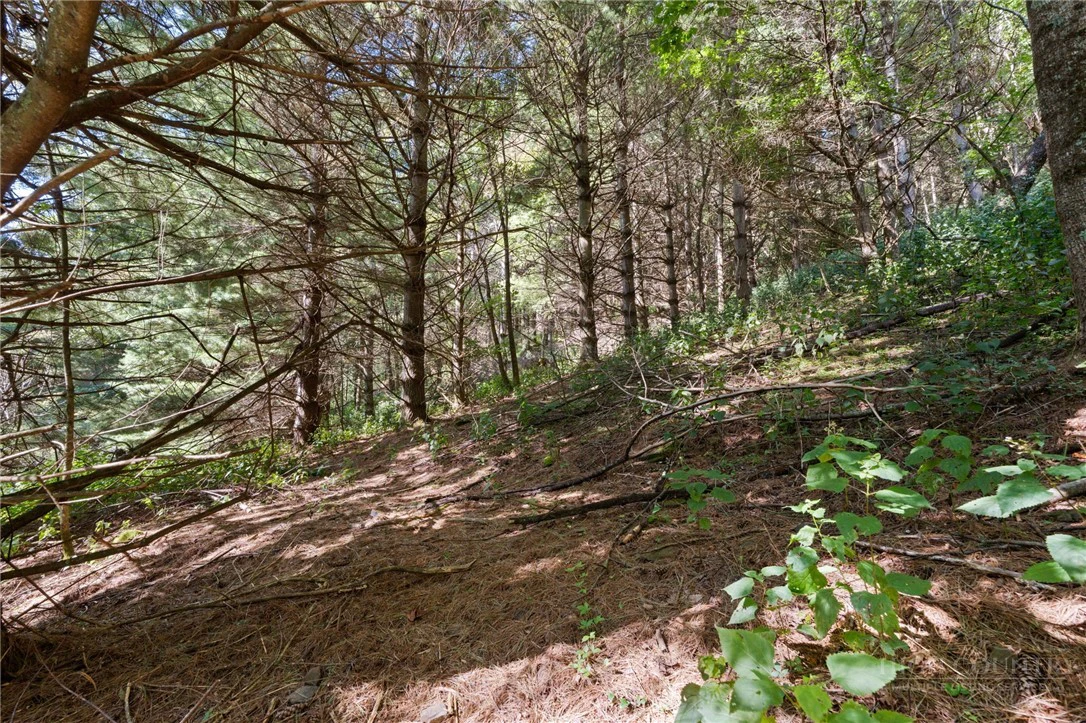 Image number 3 for the current listing