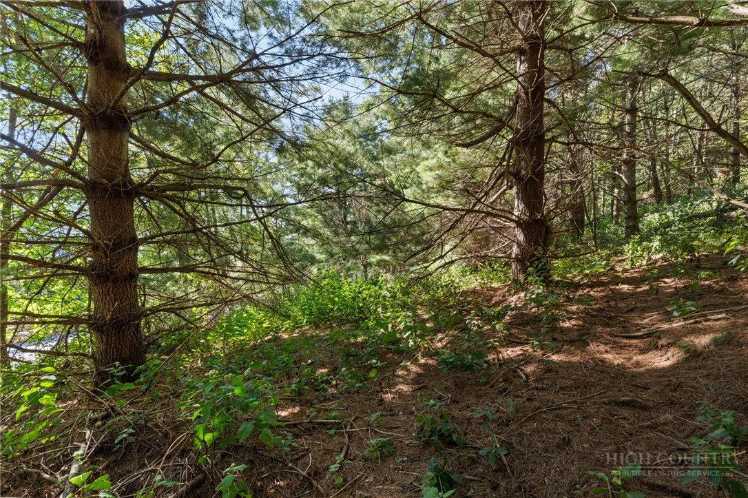 Image number 4 for the current listing