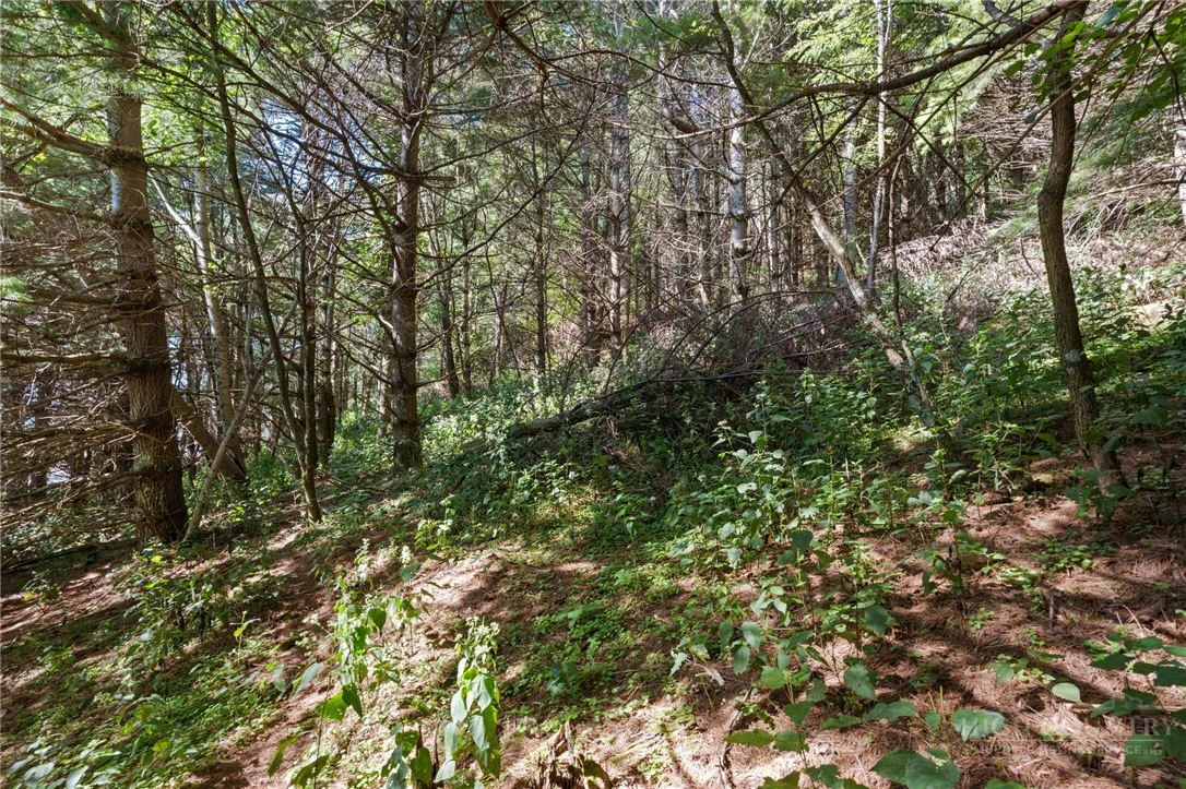 Image number 5 for the current listing