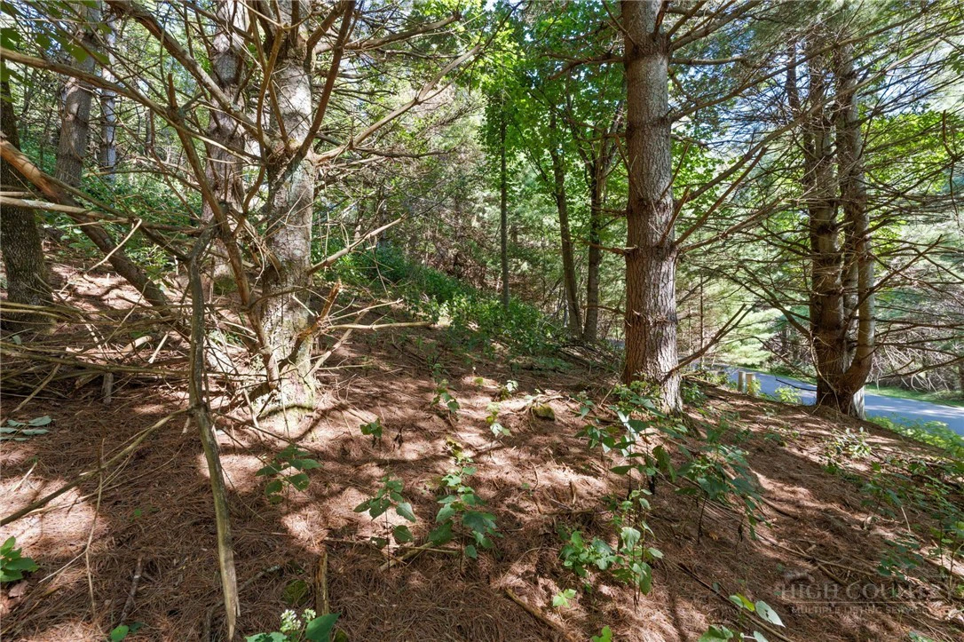 Image number 6 for the current listing
