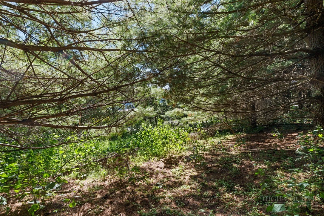 Image number 7 for the current listing