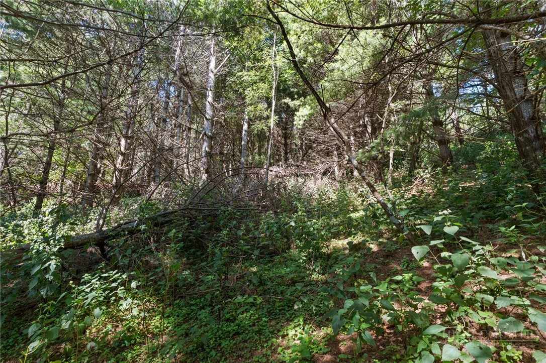 Image number 8 for the current listing