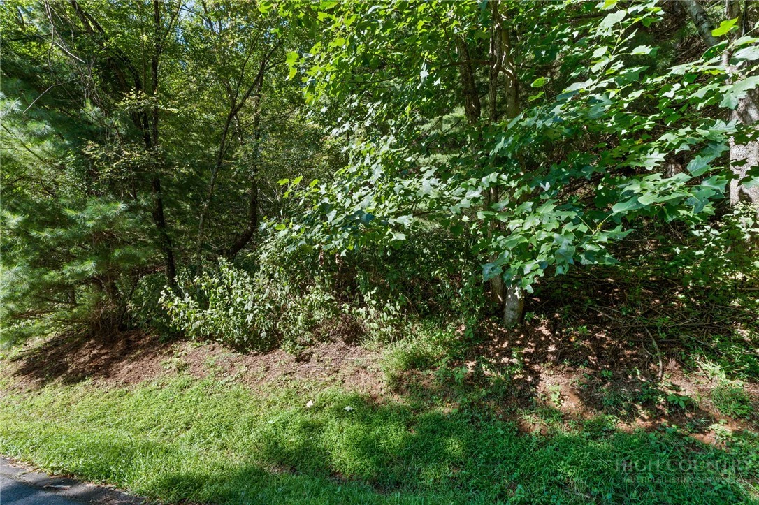 Image number 9 for the current listing