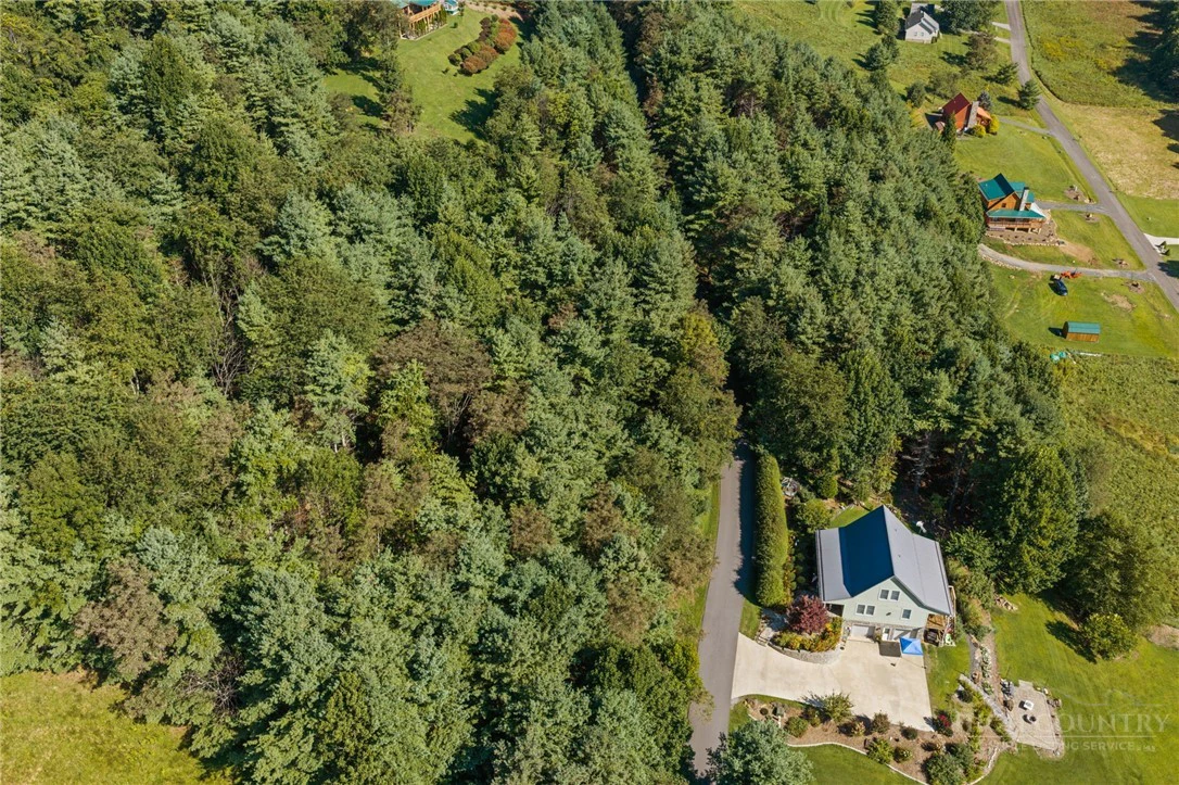Image number 12 for the current listing