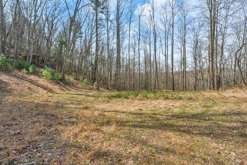 Image number 21 for the current listing