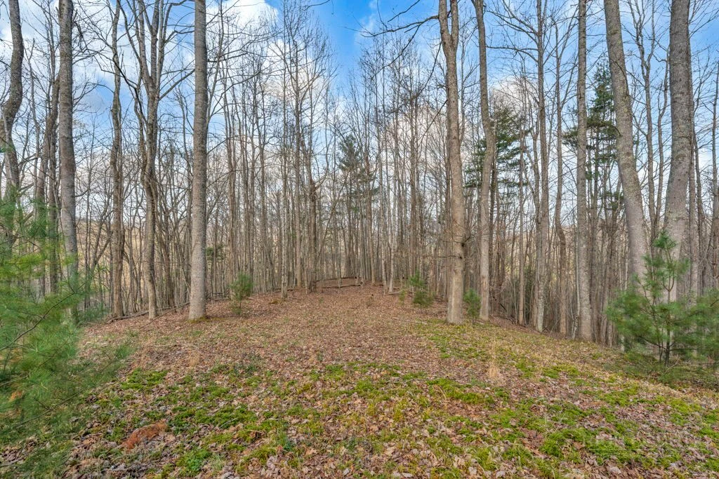 Image number 16 for the current listing