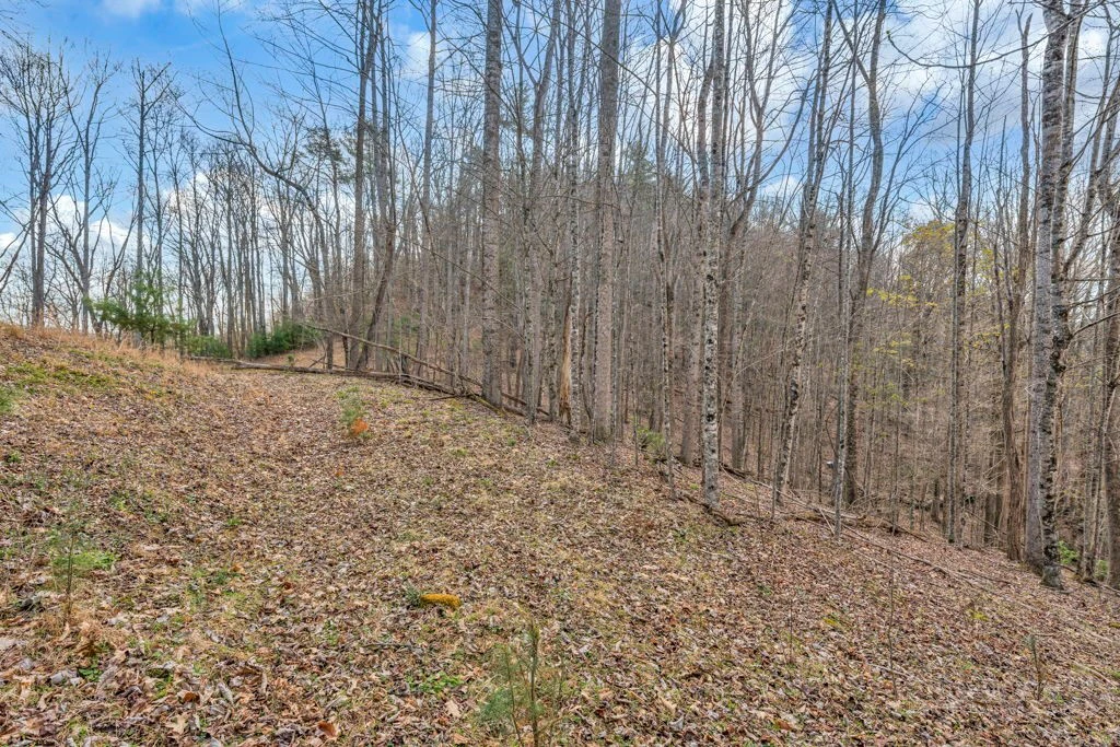 Image number 15 for the current listing