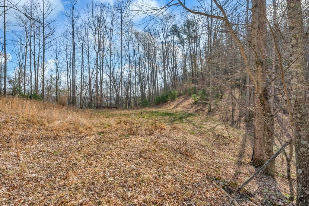 Image number 14 for the current listing